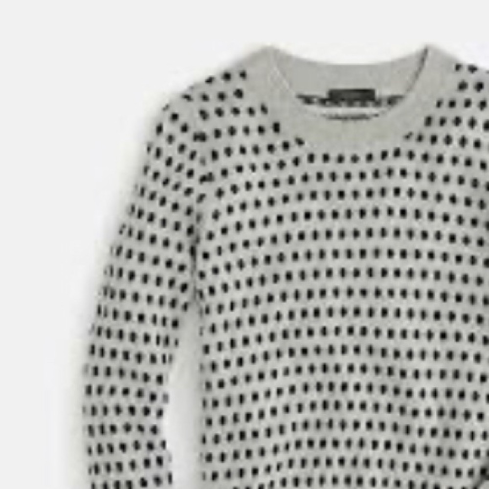 J.Crew Tippi Sweater in Jacquard Dot NEW Size L